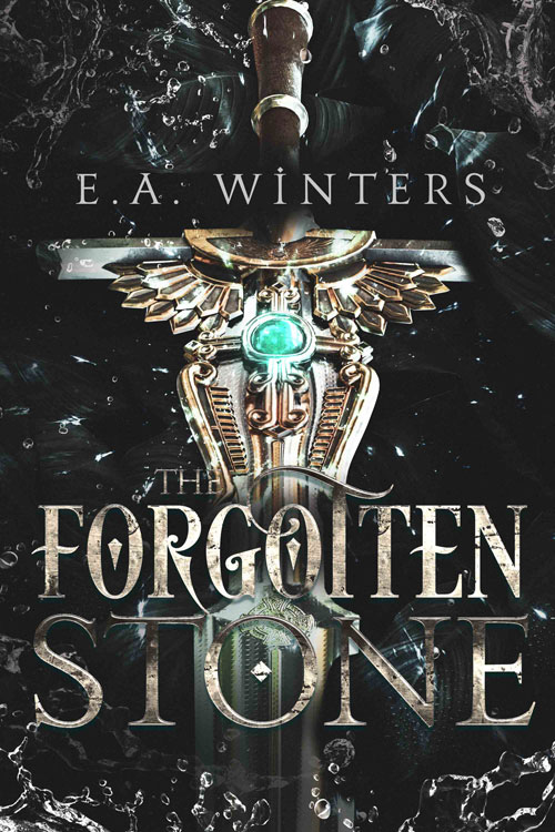 The Forgotten Stone - Pretty Bookshelf