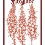 Foxglove